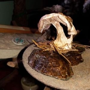 Meet your Posher, Troy